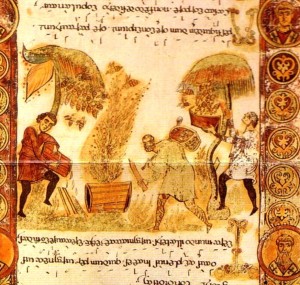 abeilles-exultet-rouleau-bari