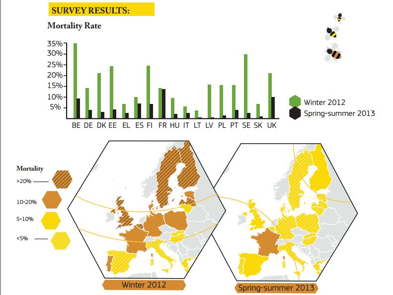 Epilobee - résultats