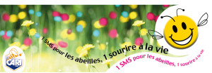 SMS ABEILLES