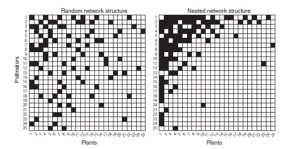 Figure 1 (de ref[1])