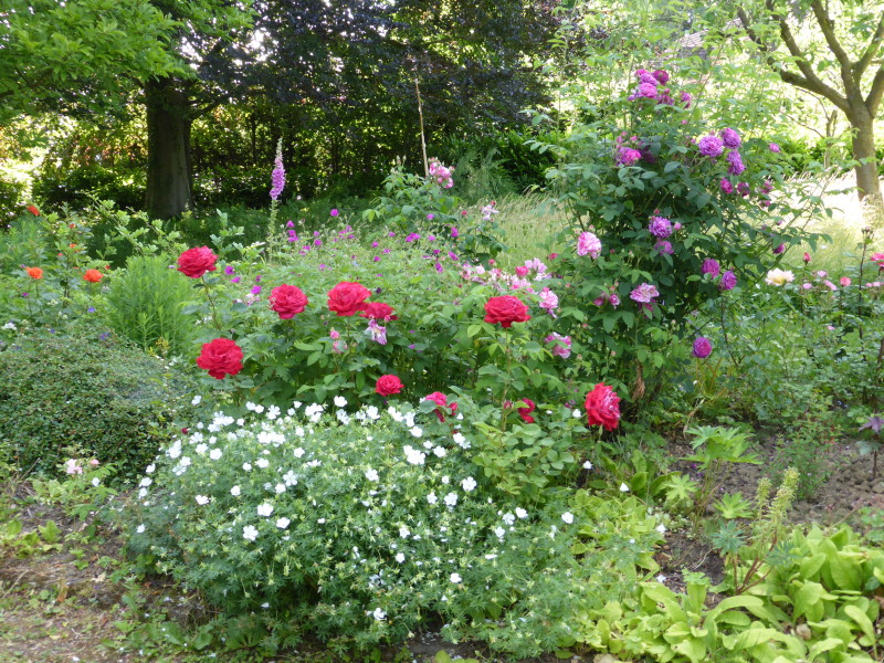 Un jardin fleuri pour les abeilles