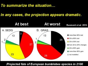 Projection du sort des bourdons européens en 2100