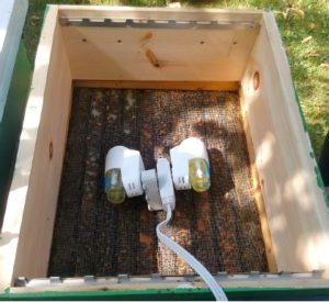 Vaporisateurs électriques d'huile d'origan placés au dessus du nid à couvain