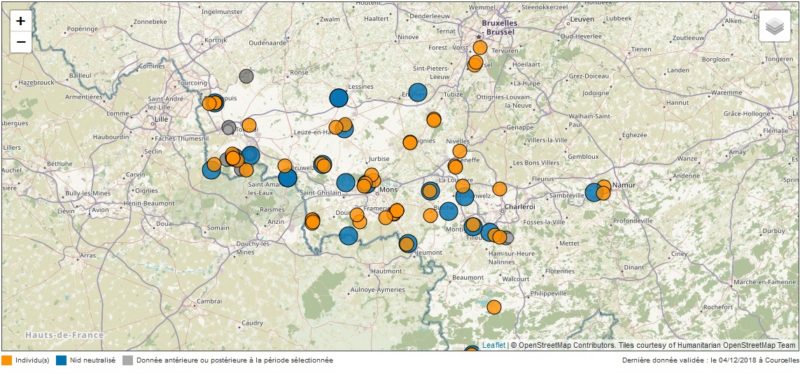 Carte vespa velutina Wallonie 2018