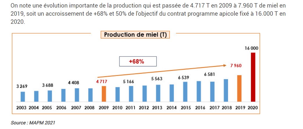 Stat-Maroc-2